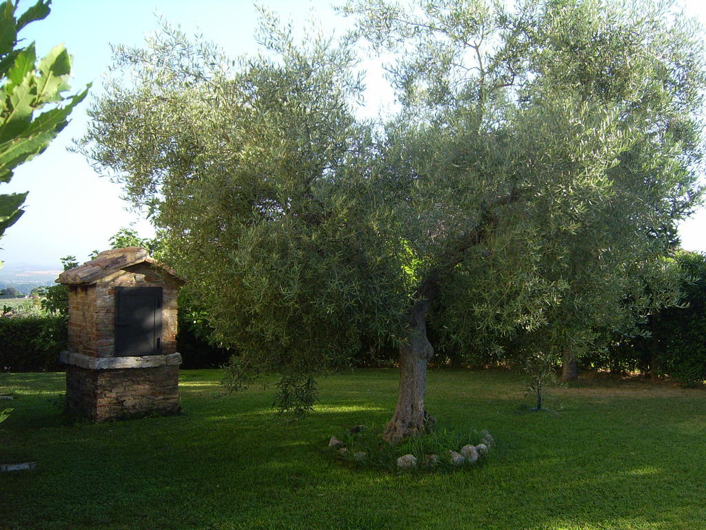 Agriturismo Regno Verde Narni Kültér fotó
