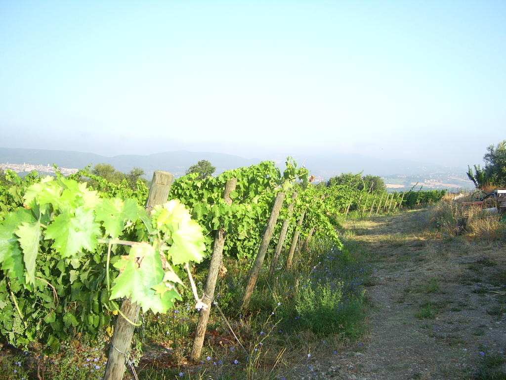 Agriturismo Regno Verde Narni Kültér fotó